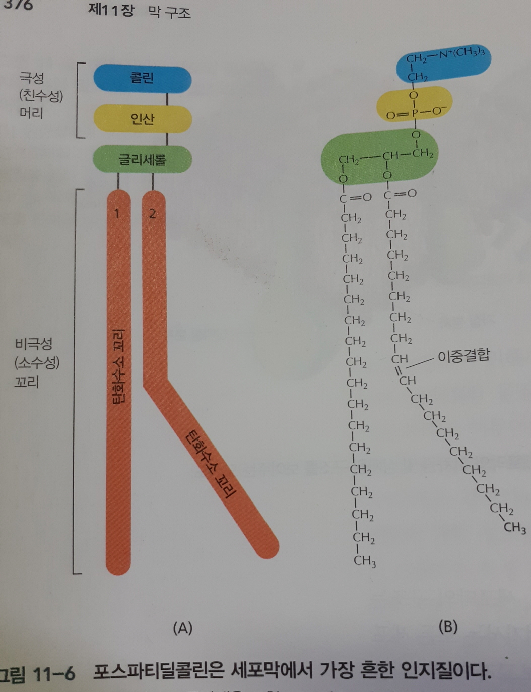 [크기변환]20200122_071646.jpg