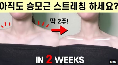 화면 캡처 2026-04-02 104803.jpg